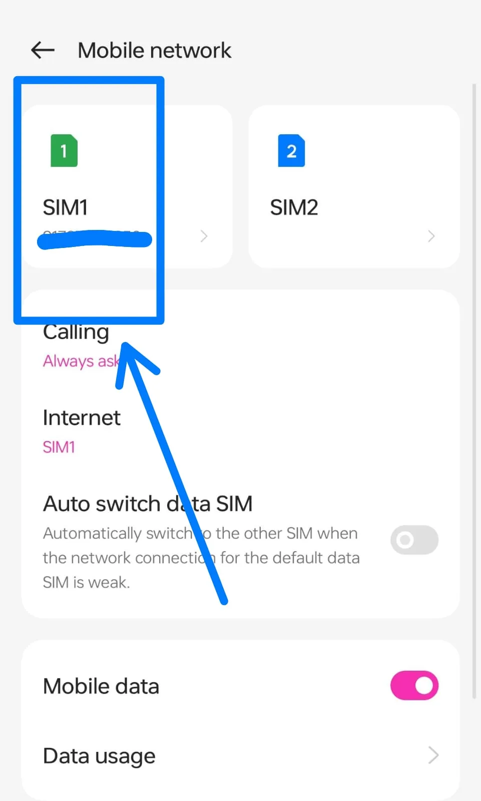 SIM Option